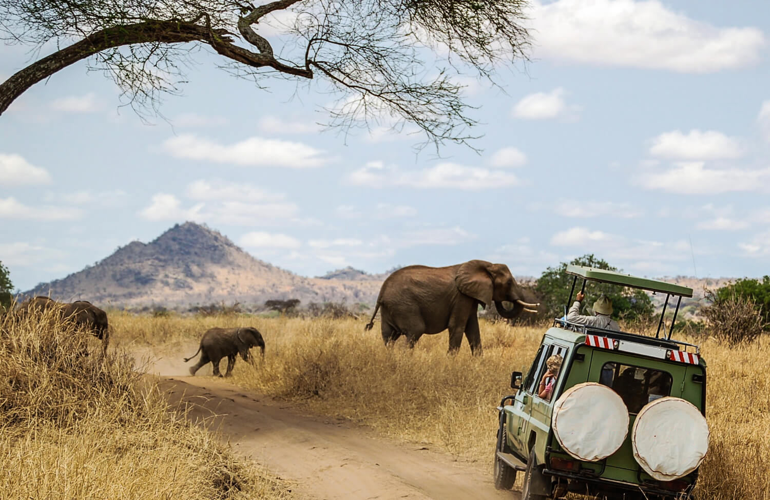 safari reizen afrika