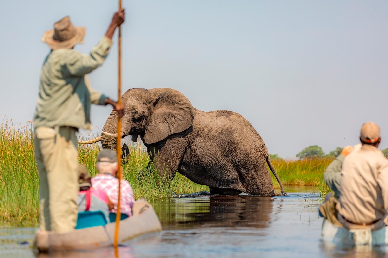 Botswana het natuurparadijs van Afrika