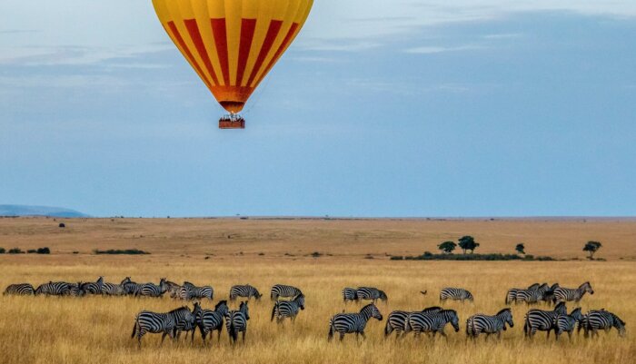Top 5 Safari’s in Afrika Welk land kies je en waarom