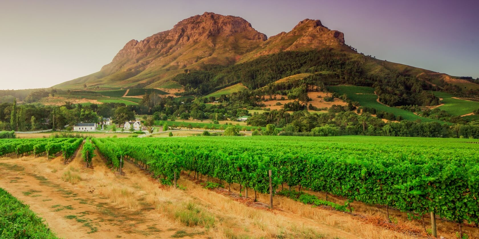 Wijngaarden en Helderberg Stellenbosch